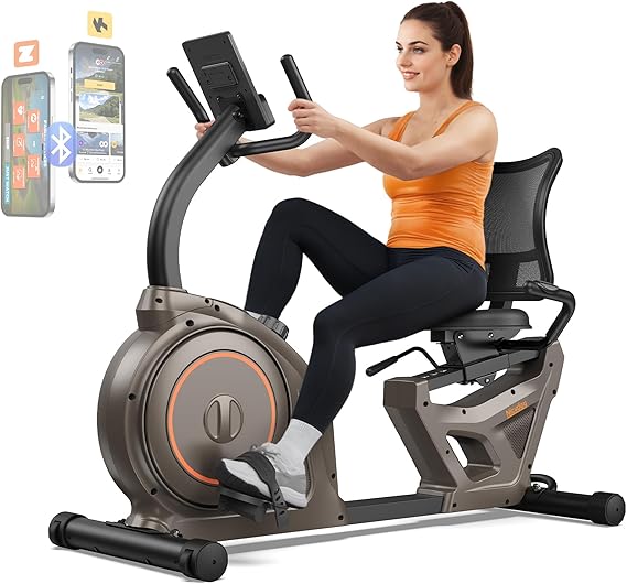 Schwinn Recumbent Bike Picture